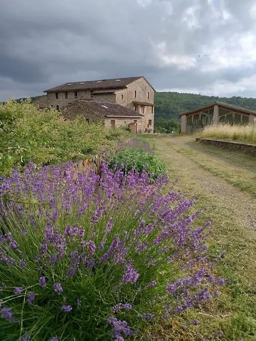 Podere Biricocolo - Il Cortile Bucine Apartman